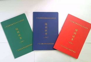 食品安全管理員在歌舞活動中的主要職責